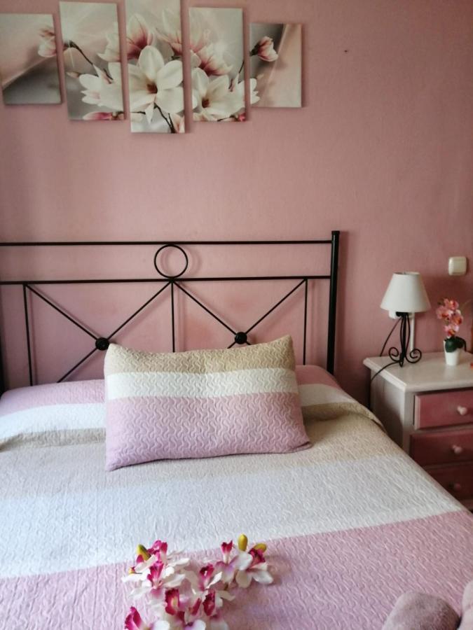Double Room Ground floor,1002551373:JPEG